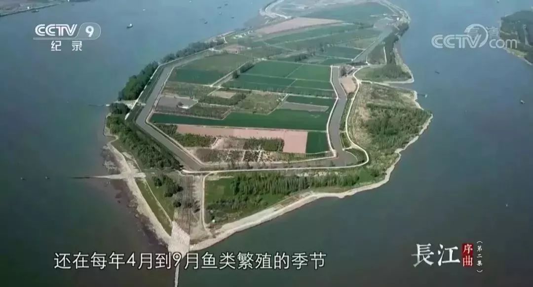 安贝斯<a href=http://www.anlpsonline.com target=_blank class=infotextkey>控制台</a>