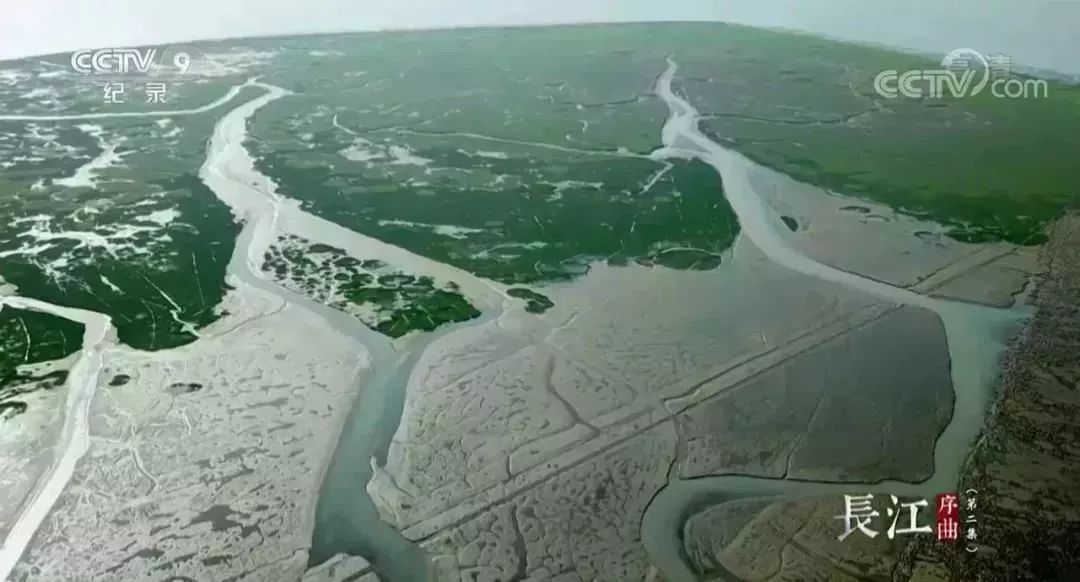 安贝斯<a href=http://www.anlpsonline.com target=_blank class=infotextkey>控制台</a>