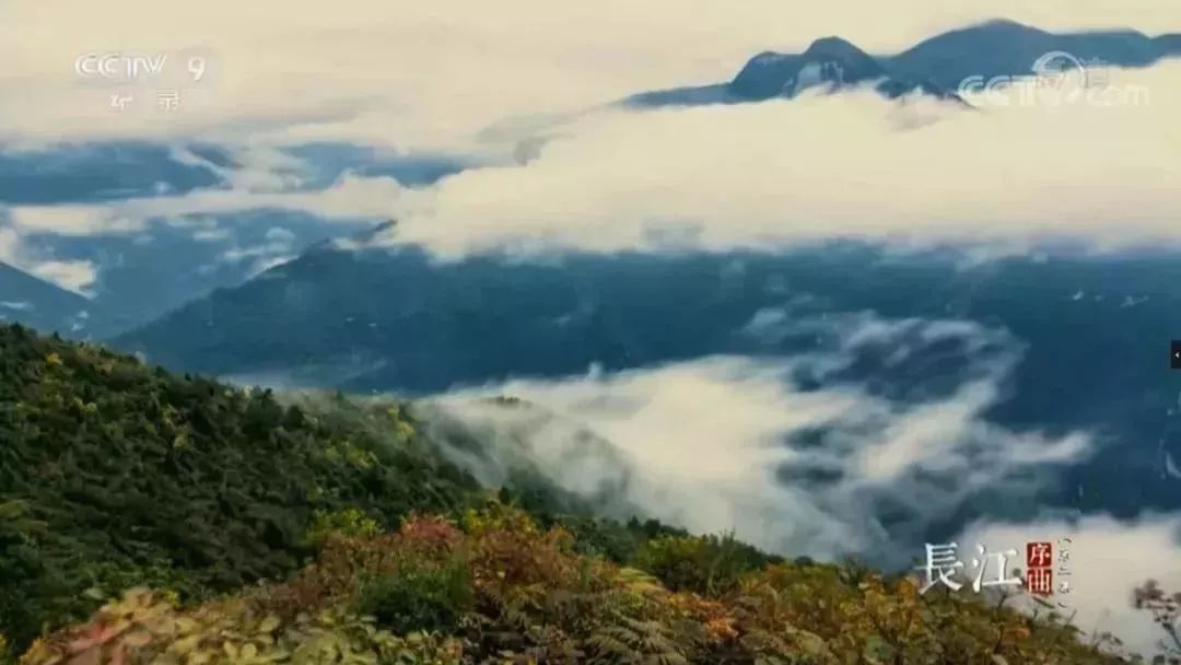 安贝斯<a href=http://www.anlpsonline.com target=_blank class=infotextkey>控制台</a>